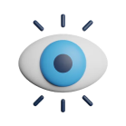 Vision